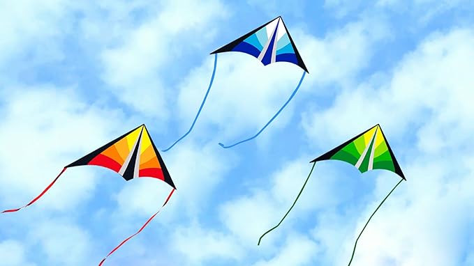 Delta Beginner Kite for Kids & Adults, Easy to Fly Beach Kite