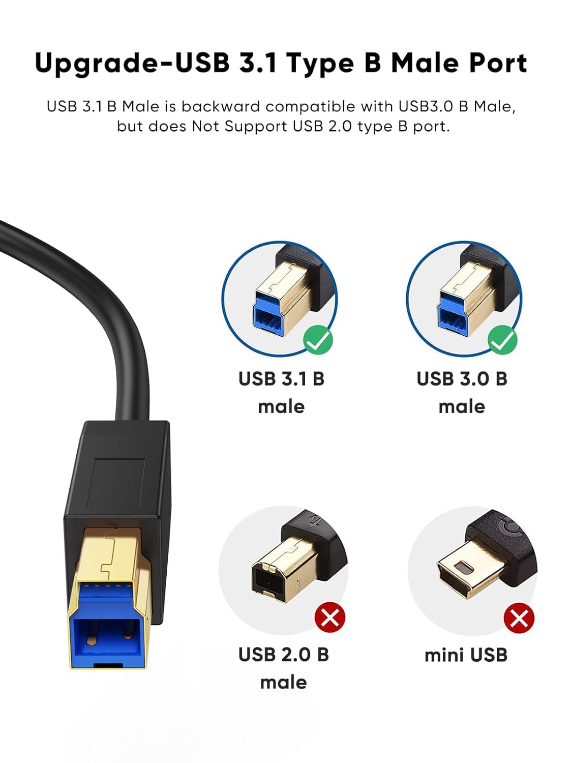 3.1 3FT, 10Gbps 3 Black,1M CableCreation USB C to USB B Cable USB Type B to USB C Cable for Thunderbolt Host MacBook