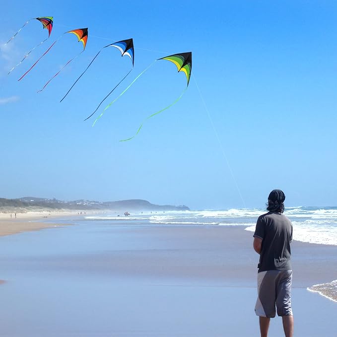 Mint's Colorful Life Delta Kite for Kids & Adults, Extremely Easy to Fly Kite, Best Kites for Beginner