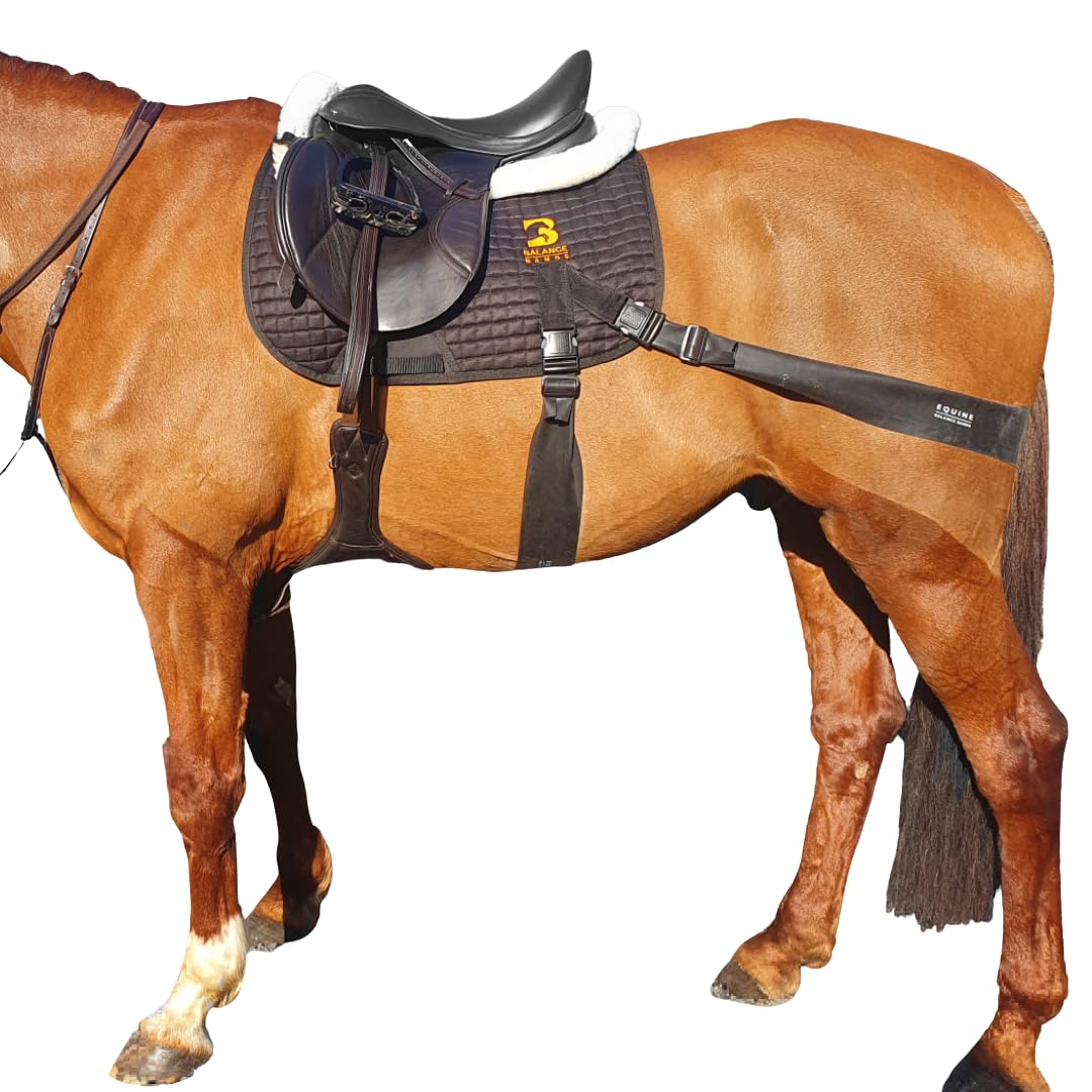 Equine Band System - Core Training Aid for Horses. Saddle Pad and Equibands System (All Purpose)