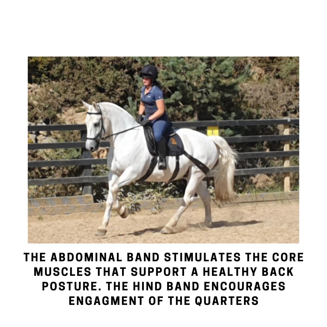 Equine Band System - Core Training Aid for Horses. Saddle Pad and Equibands System (All Purpose)