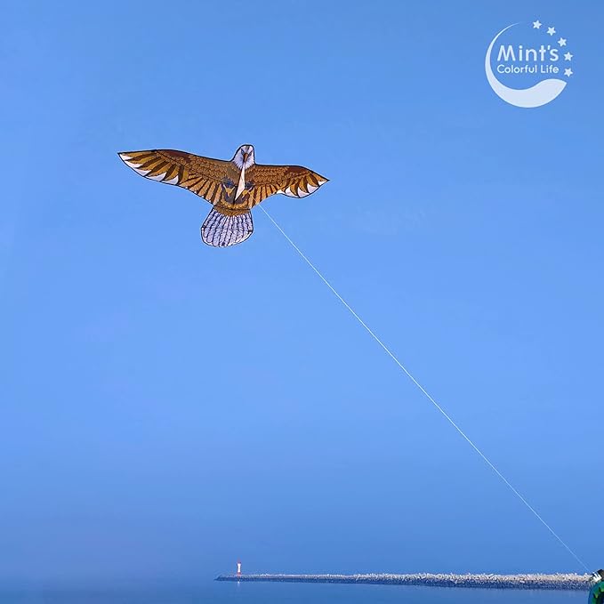 Bald Eagle Kite for Adults and Kids, Huge Kites Easy to Fly Single Line Kite for Beach Trip