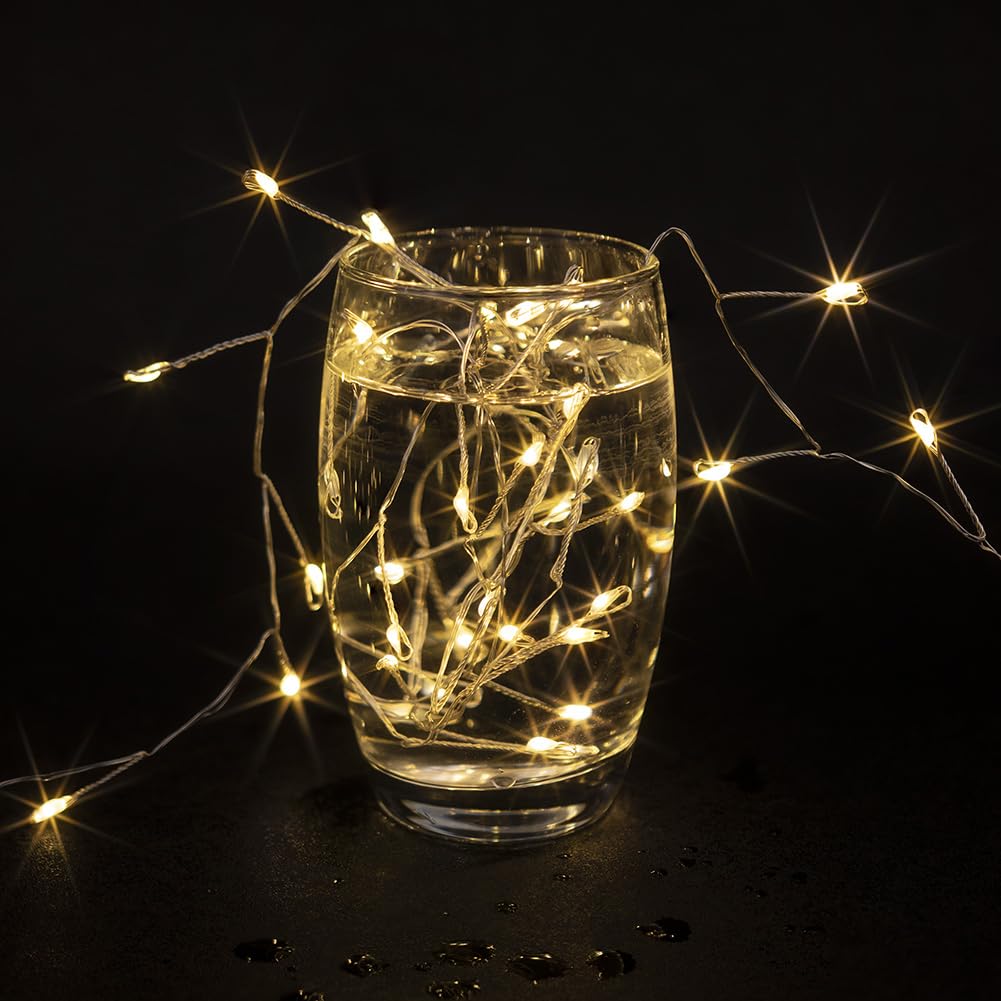 PCORES Fairy Lights Plug in, 100FT 1000LED Firecracker String Lights Waterproof Silver Wire, for Bedroom/DIY/Party/Garden/Porch/Patio/Backyard/Christmas Tree, with Remote Timer & 8 Modes, Warm White