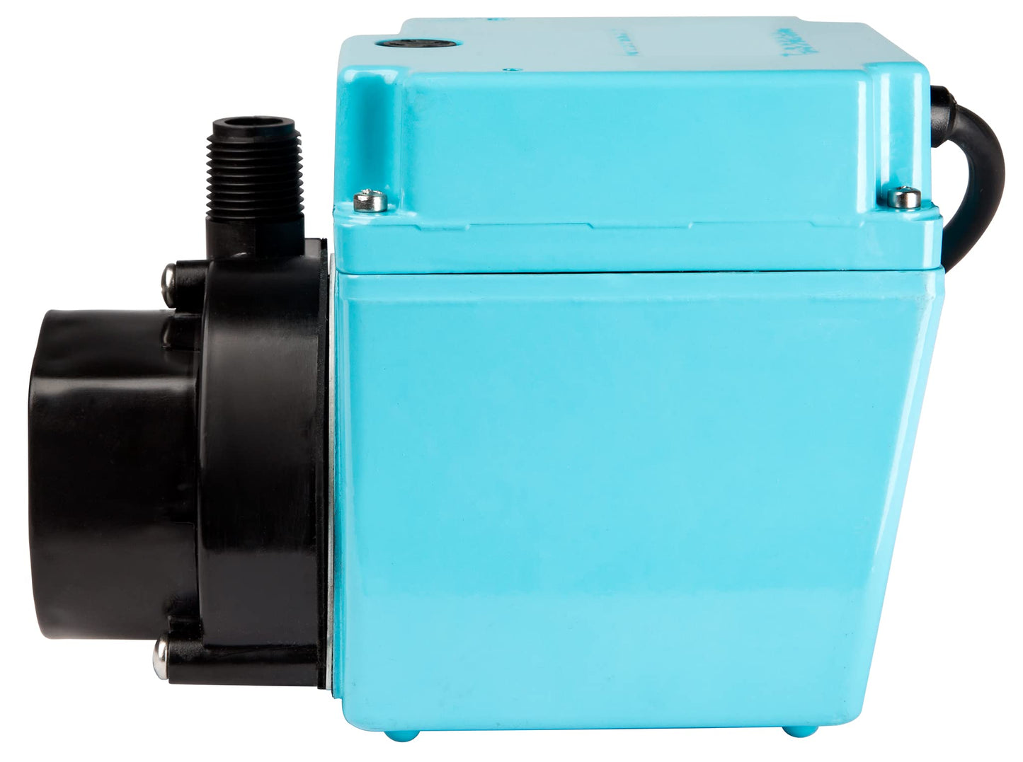 Little Giant 4E-34NR 115 Volt, 1/12 HP, 810 GPH Small Submersible Oil-Filled Water Transfer Pump with 6-ft. Cord, Blue, 504203