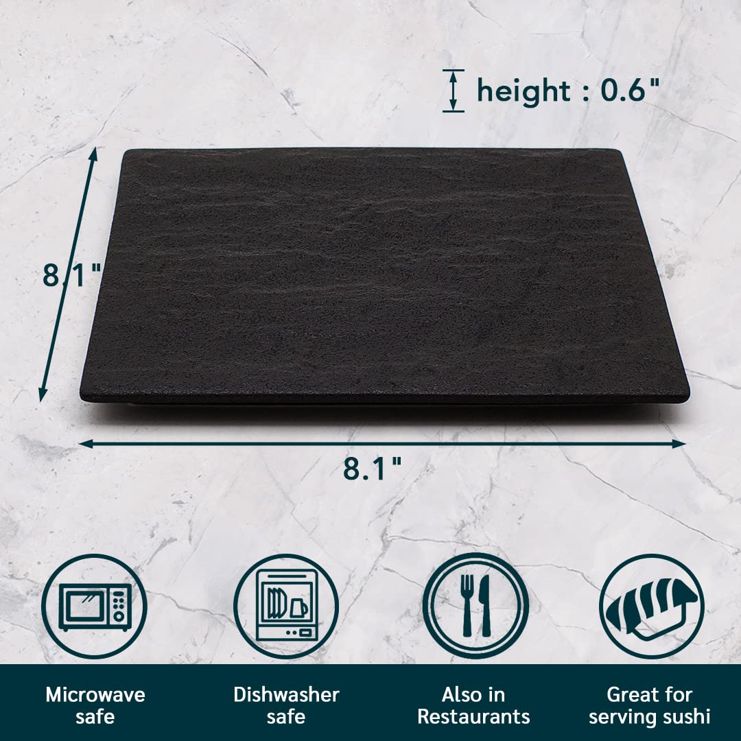 TIKUSAN Serving Platters Sushi Plate Set of 2 Square Plates Made in Japan Ceramic Plates for Dinner Party Restaurant for Appetizer Meat Dessert (Black)