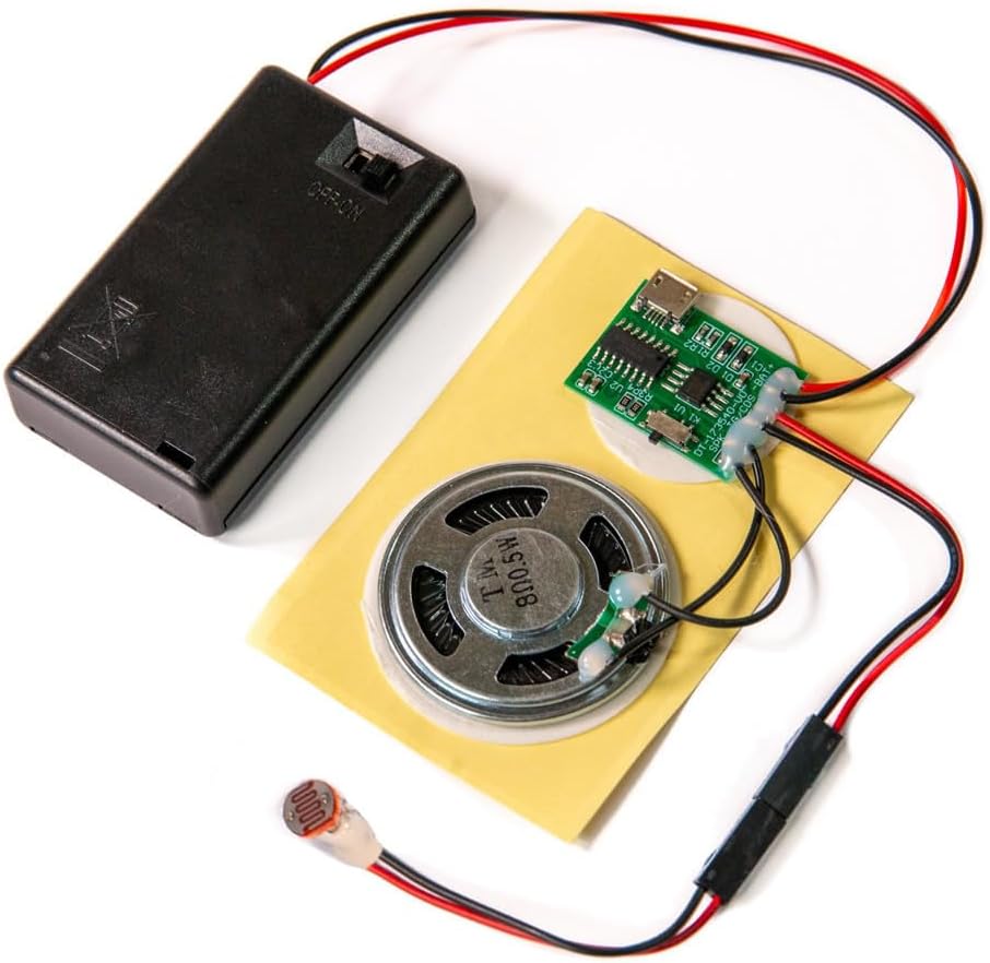Talking Products MP3 4MB , Sound Chip Module, Memory, with AAA Battery Box. Create Your own Personalised Gifts, Models