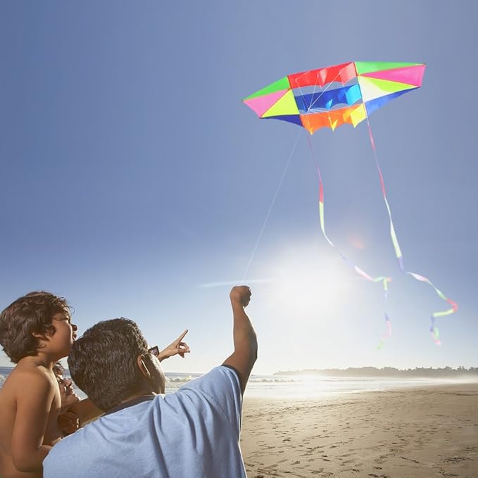 Beach Kites for Adults Large with Long Tail, 98 inches Super Easy Flyer 3D Rainbow Box Kites, Comes with Two 49 Feet Multi Colors Tails, 300 ft Kite String & Handle