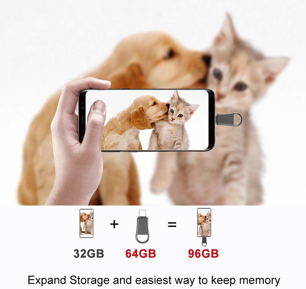 Sanfeya 64GB 2-in-1 3.0 USB C Flash Drive, OTG USB Thumb Drive, Dual USB Memory Stick Pen Drive for Type-C Android