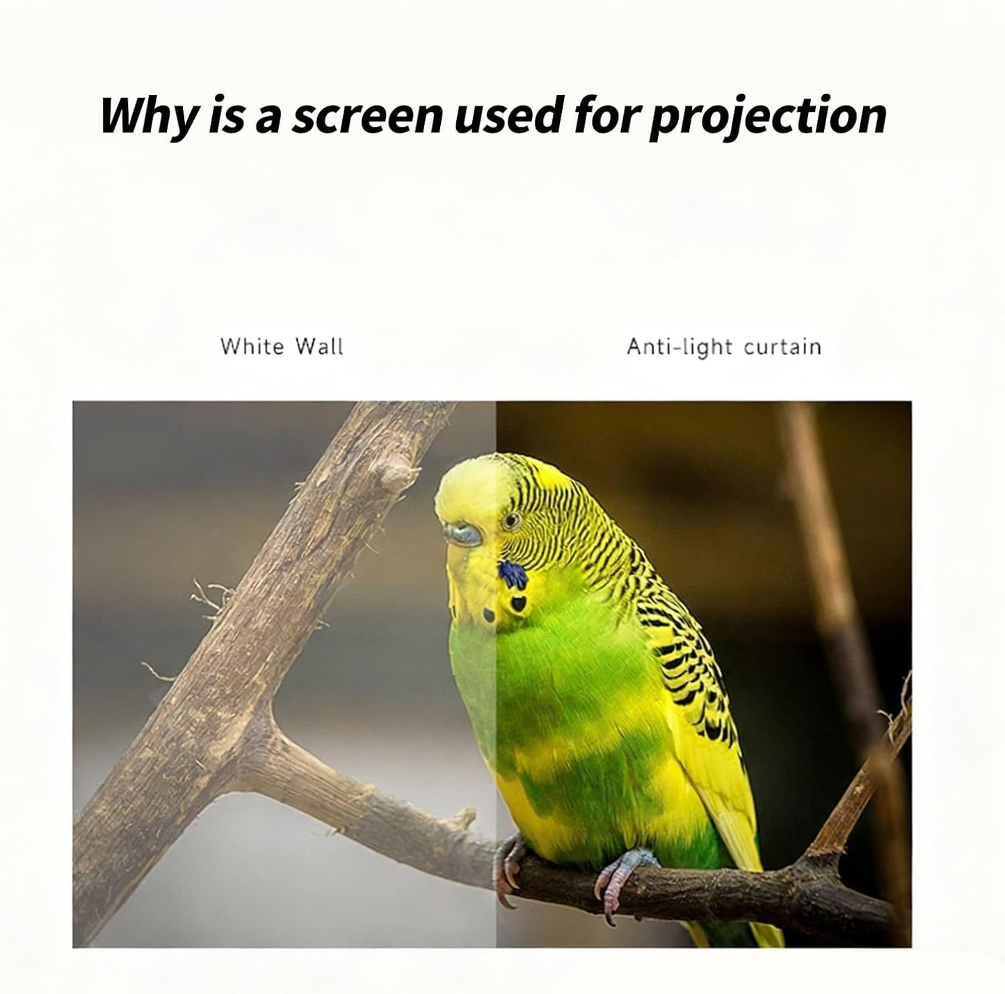 SHYYOULQE Metal Anti-Light Projector Screen Portable Foldable Frame Indoor Outdoor Viewing No Tools Needed Wide Viewing
