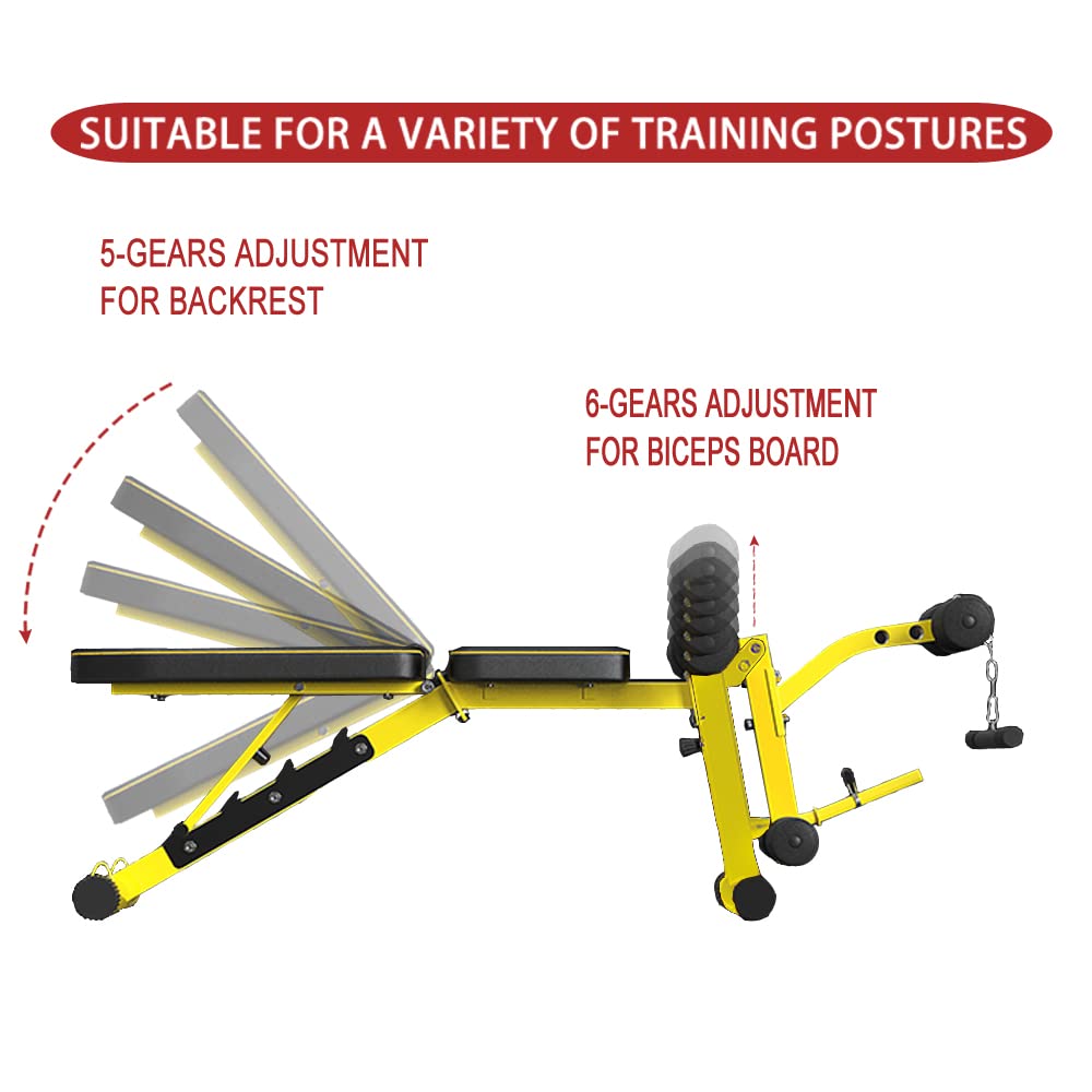 Utility Weight Bench with Leg Extension - Multi-Position Adjustable Bench for Strength Training, Dumbbell Exercise and Ab Workouts