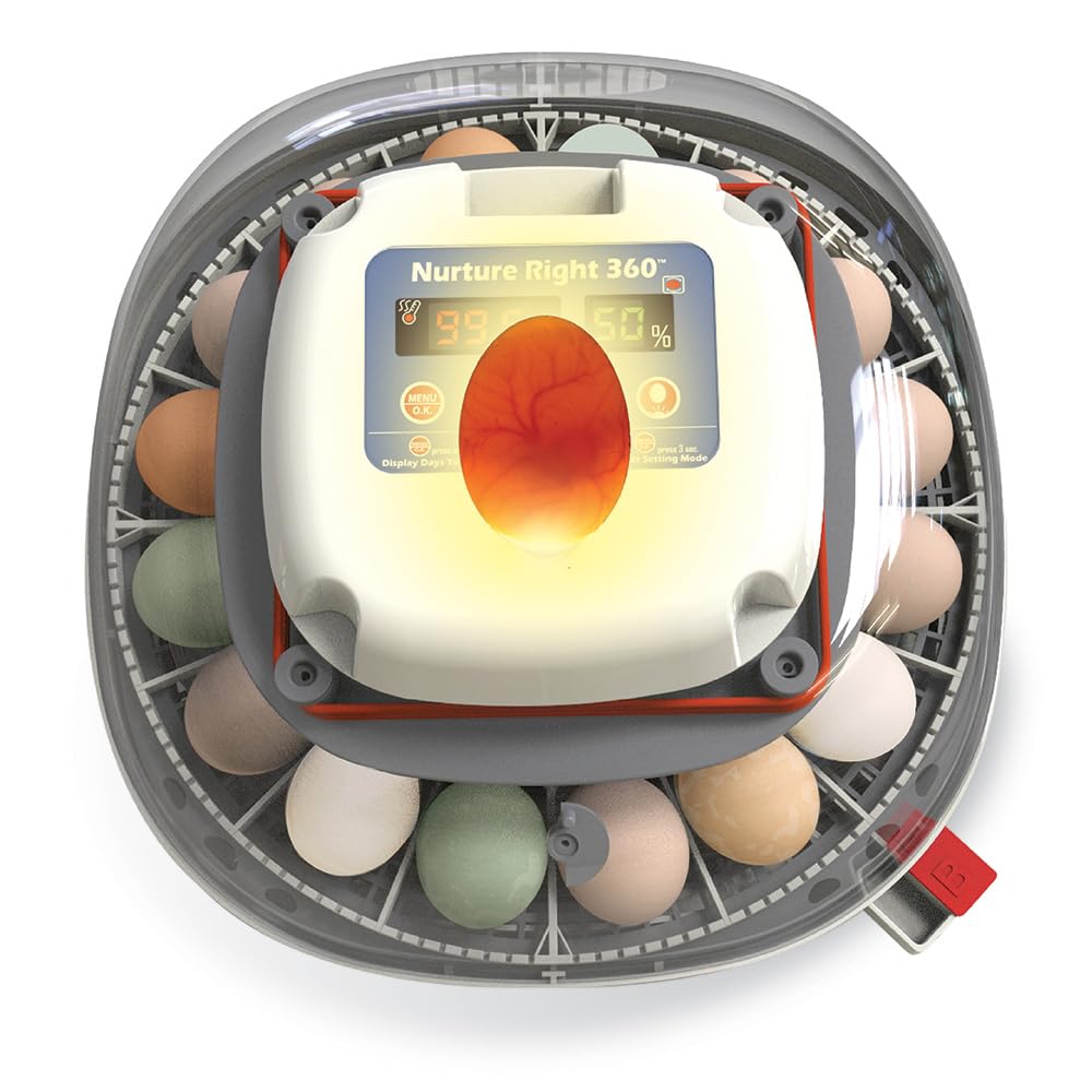 Harris Farms Nurture Right Egg Incubator for Hatching Chicks, Holds 12-22 Eggs, Automatic Turner with Temperature and Humidity Control, 360 Degree View with Clear Window, Incubator for Hatching Eggs
