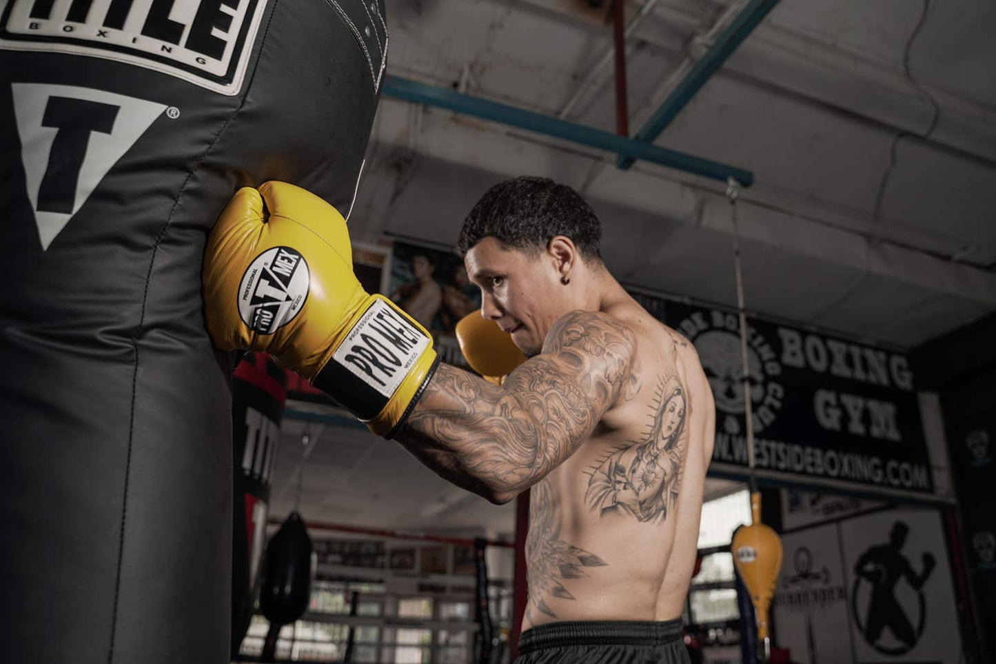 TITLE Boxing Big Bang Heavy Bag