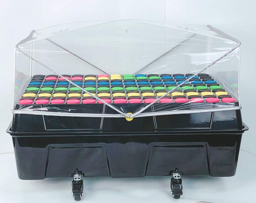 Clone Machine, Aeroponic Cloning Machine System 140 Site for Cuttings Rooting Using 1.625 Inch Neoprene Clone Inserts (1-5/8 inch)