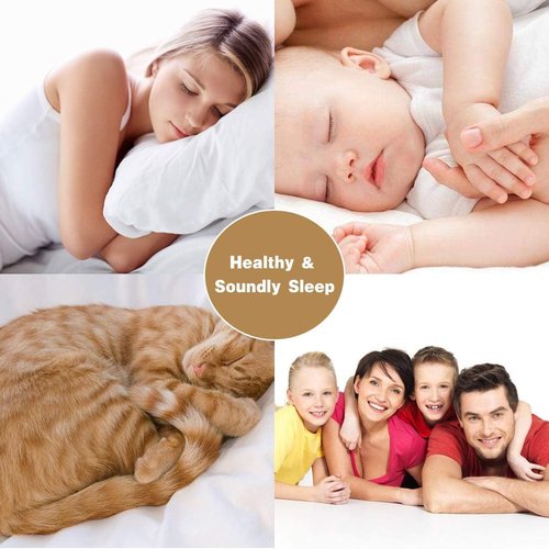 Elegant Decor 4 Piece Queen Bed Sheet Set - Luxury 300 GSM Double Brushed Microfiber - 16 Inch Deep Pockets, Wrinkle Resistant, Cool & Breathable (White)