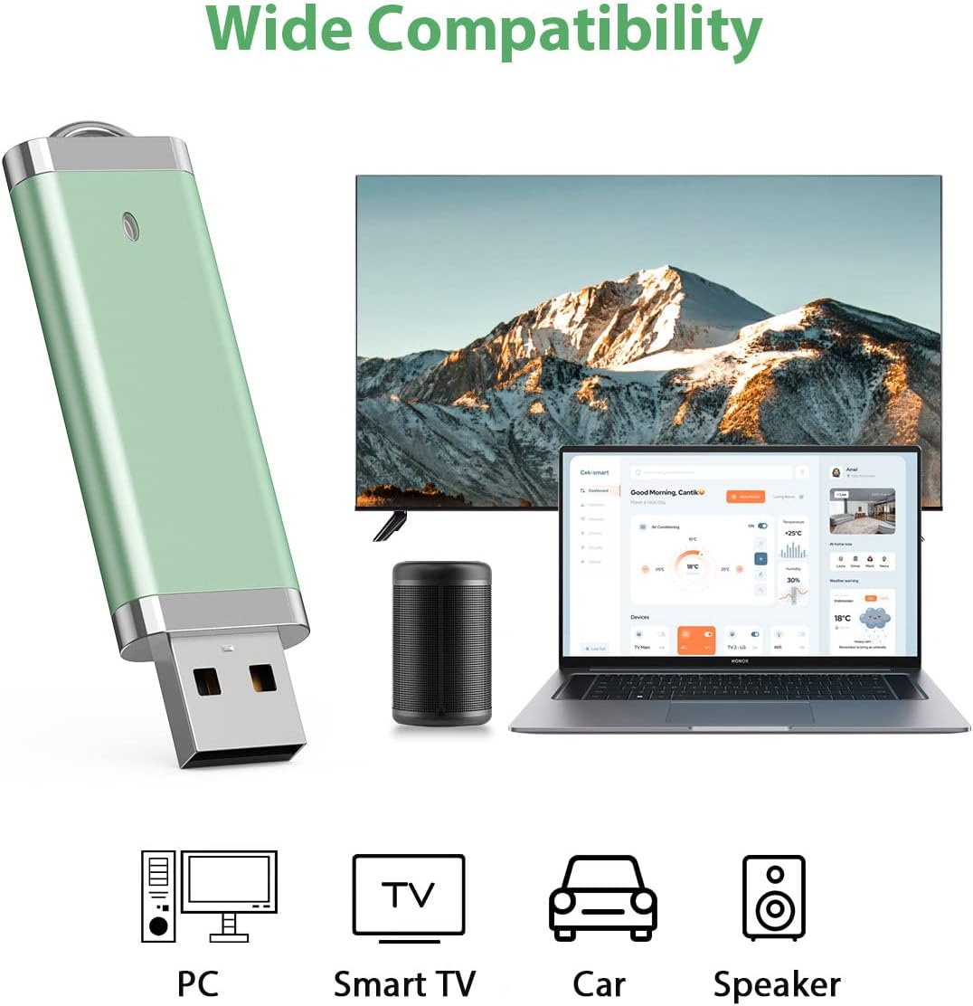 Aiibe 2GB 2G 5 Pack 2.0 2GB (5 USB Flash Drive USB Memory Stick Thumb Drives Mixed Colors: Blue Green Yellow Pink