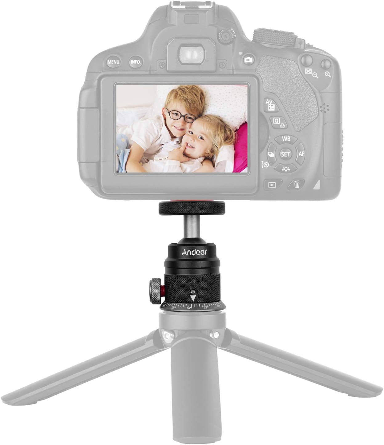 Andoer 360 180 1/4 DSLR Tripod Ball Head,Aluminum Alloy Tripod Ball Head Mount Panoramic Swivel Flip with Scaled Base