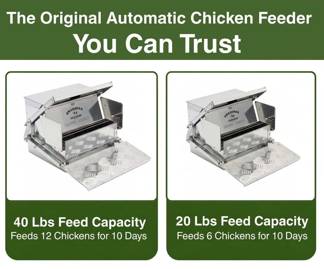 Grandpas Feeders Automatic Chicken Feeder - 40 lbs No Waste Poultry Feeder, Rat Proof & Rodent Proof Treadle Chicken Feeder, Galvanized Steel with Lid, Feeds 6-12 Chickens up to 10 Days