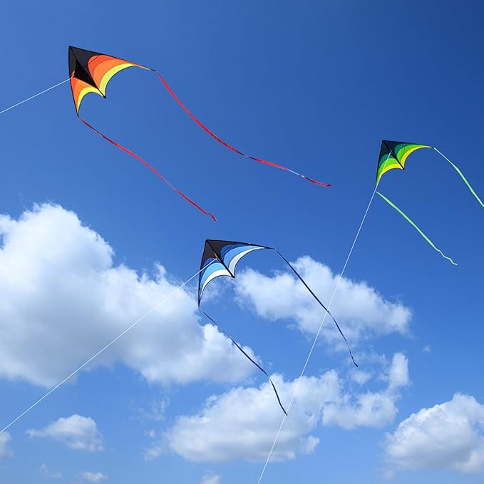 Mint's Colorful Life Delta Kite for Kids & Adults, Extremely Easy to Fly Kite, Best Kites for Beginner