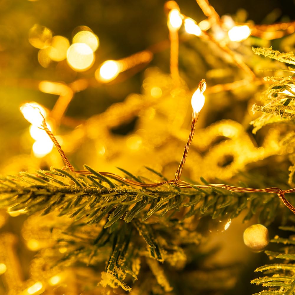 RESNICE Plug in Fairy Lights 20FT 200 LED Warm White Copper Wire with Remote Timer for Indoor/Outdoor Use