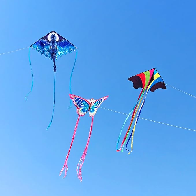 Kites for Kids & Adults, Beach Kites Set for Beginners, Easy to Fly Large Kites Pack for Boys and Girls, Kite String Included, Perfect for Outdoor Activities