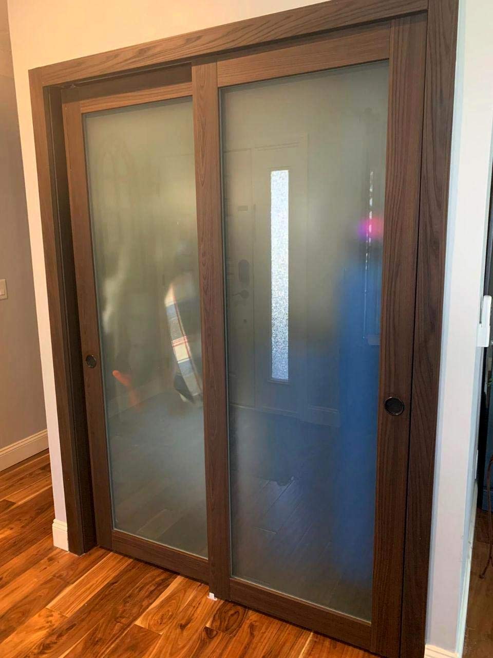 SARTODOORS Frosted Lite Glass Door Panel Slab 30 x 96 | Planum 2102 Chocolate Ash | Use as Barn Pocket Sliding Closet | Solid Wood Core Interior Door