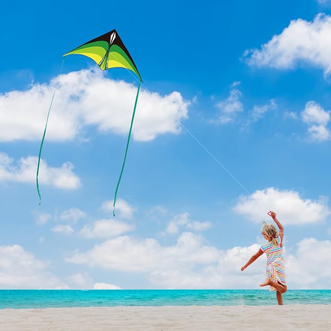 Large Delta Kite for Kids & Adults - Easy to Fly Outdoor Kites for Kids Ages 8-10, Perfect for Beach & Family Activities, Includes Line & Handle