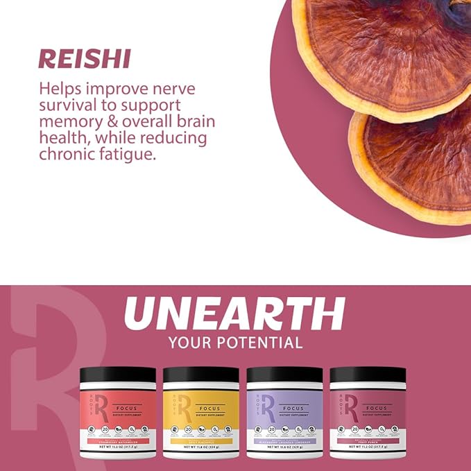 Roots Focus Nootropic Brain Supplement, Fruit Punch, Blend of Lion's Mane, Cordyceps, and Reishi Functional Mushrooms with Extended-Release Caffeine, 15 Servings