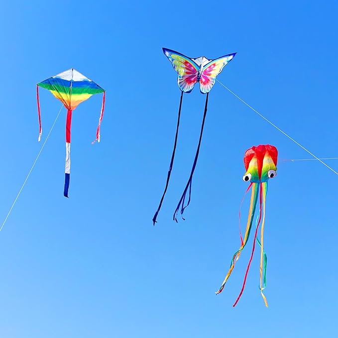 Mint's Colorful Life Kite Set for Kids and Adults, Easy to Fly Butterfly Delta Airplane Dragon Octopus Kite, Large Beach Kites Kits with 300ft String, Best for Gifts & Family Outings