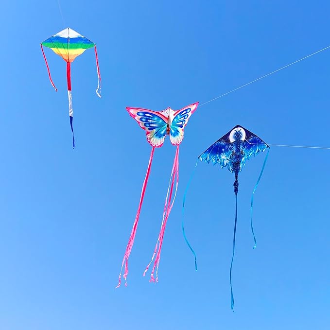 Mint's Colorful Life Kite Set for Kids and Adults, Easy to Fly Butterfly Delta Airplane Dragon Octopus Kite, Large Beach Kites Kits with 300ft String, Best for Gifts & Family Outings