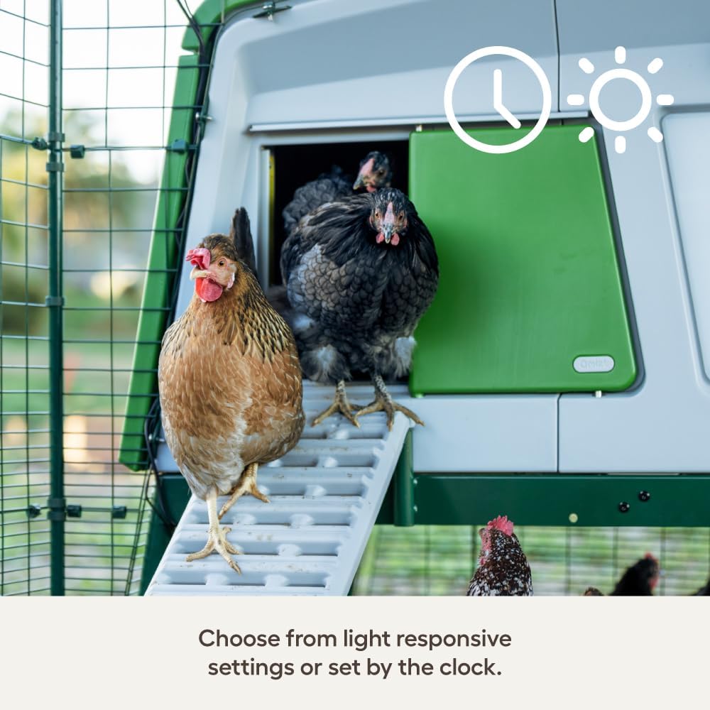Omlet Smart Automatic Chicken Coop Door Opener | WiFi & App Control | Light Sensor or Timer | Built-In Safety Sensors | Weatherproof | Battery or Plug-In Power | Alexa & Google Home Compatible | Green