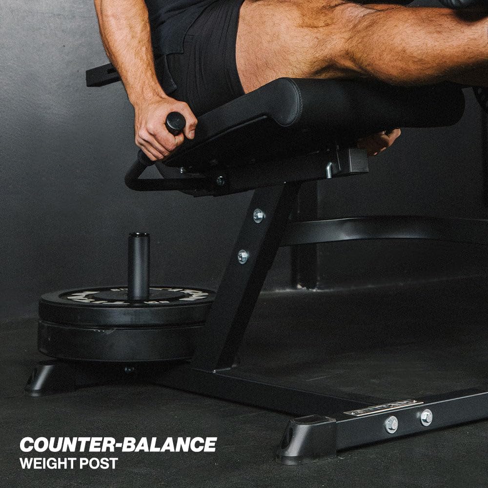 Titan Fitness Plate-Loaded Adjustable Leg Extension and Curl Machine, Rated 300 LB, Lower Body Specialty Machine for Extension and Curls, Muscle Focus on Thigh, Quads and Hamstrings