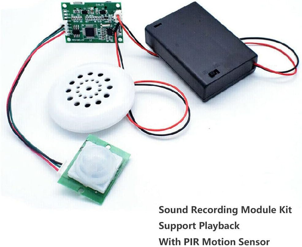 TEAMWILL MP3 Compact Voice Recorder with Playback and PIR Sensor