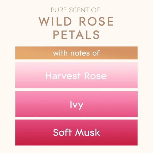 Glade Large Candle Jar - Wild Rose Petals Scented Candle Infused with Essential Oils | 16oz Air Freshener