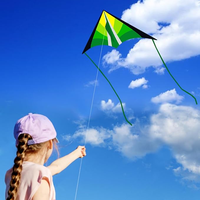 Delta Beginner Kite for Kids & Adults, Easy to Fly Beach Kite