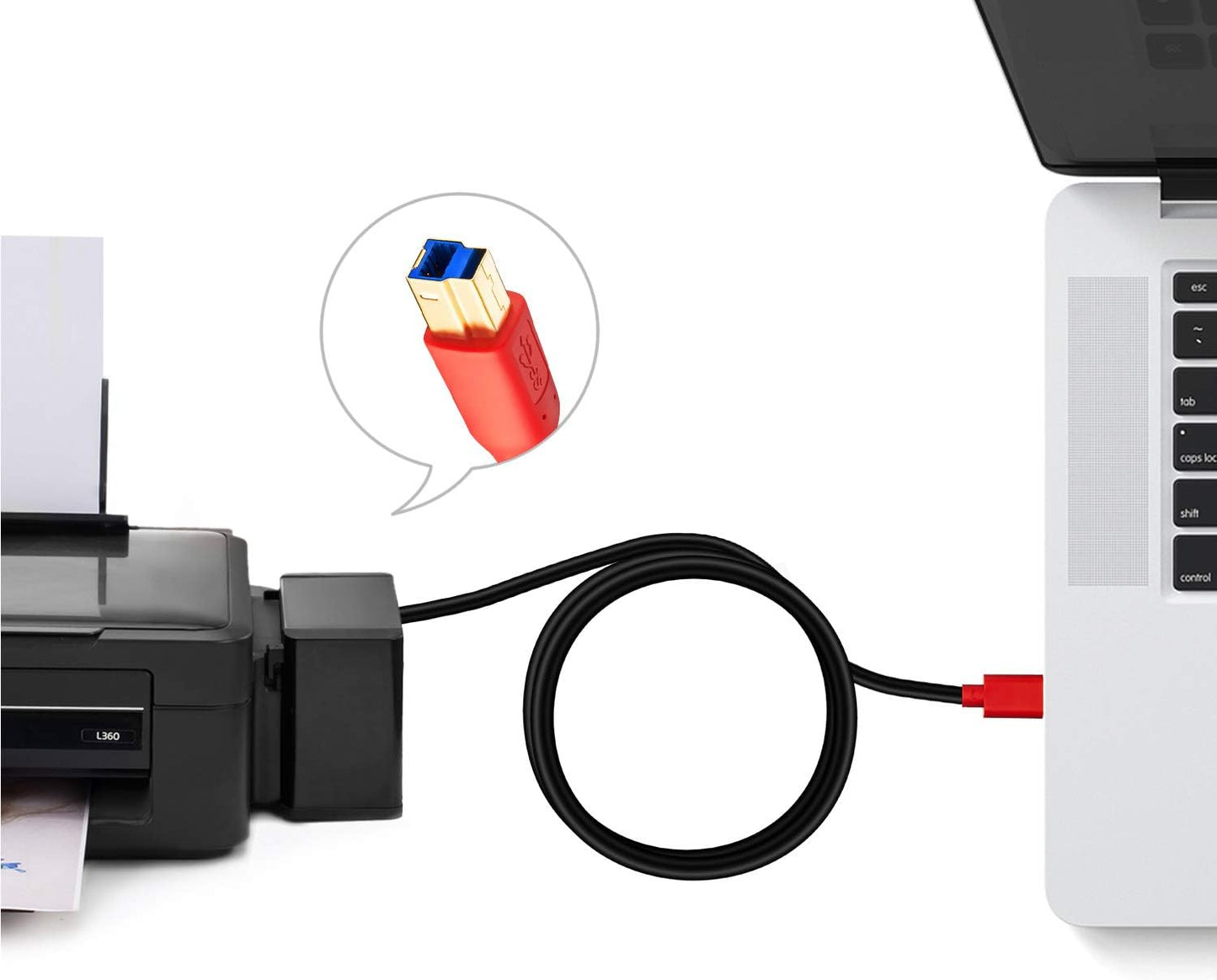3.0 1Ft, (0.3M/1Ft) Tan QY USB Cable A Male to B Male Type A to B Male Compatible with Hard Disk