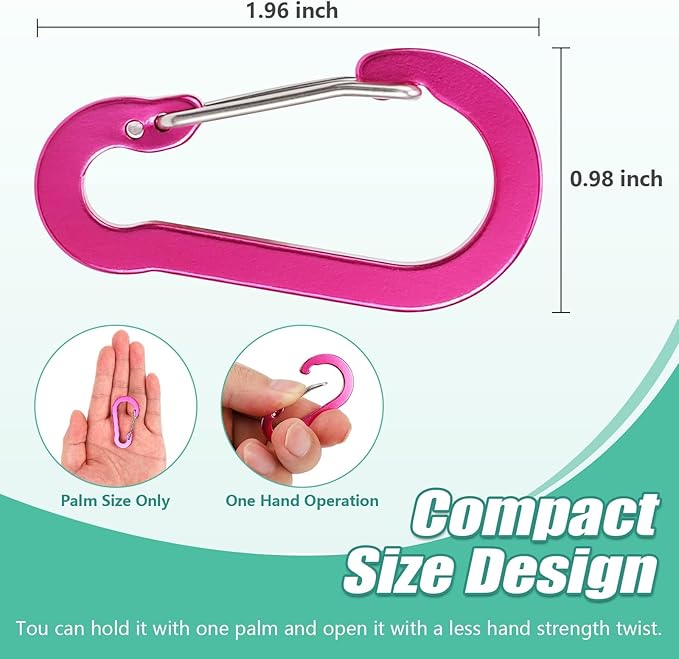 Carabiner, 2 inch D-Ring Locking Carabiner Clip, Snap Hook Sport Accessories for Outdoor Camping Hiking
