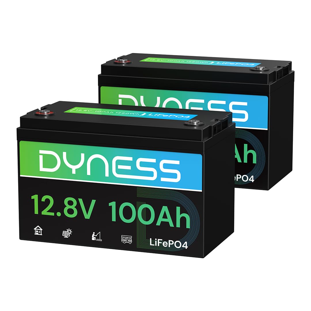 Dyness 12V 100Ah LiFePO4 Lithium Battery (2 Pack) BCI Group 31 with Low-Temp Protection, A+ Grade Cell Built-in 100A BMS, 12 Volt Lithium Battery Perfect for RV, Solar System, Off-Grid, Home Energy