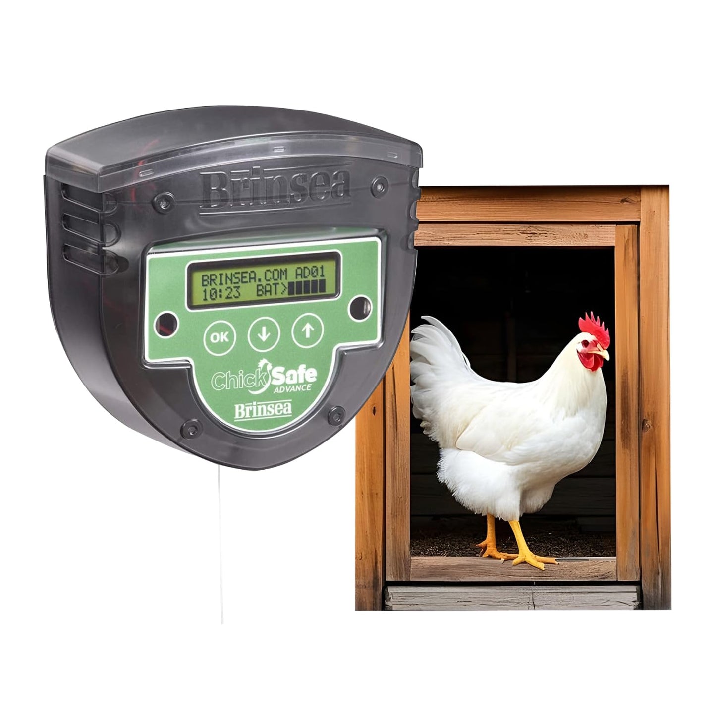 Brinsea ChickSafe Advance Automatic Chicken Coop Door Opener for Vertical Sliding or Hinged Hen House Doors with Programmable Timer, Digital Display, 8 lb. Lift Capacity