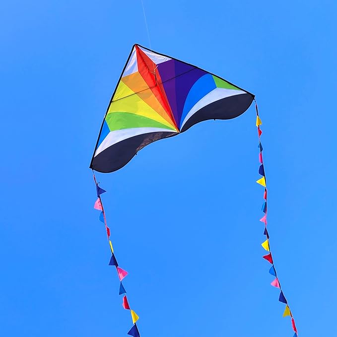 Delta Kite for Kids & Adults - Easy to Fly Large Single Line Beach Kite with 300ft String Handle Included, Perfect for Beginners, Teens