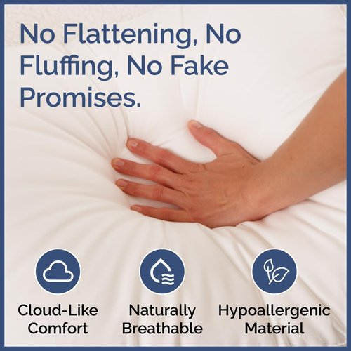 CGK Unlimited Queen Size 4-Piece Sheet Set - Soft Cotton with 2 Queen Size Bed Pillows