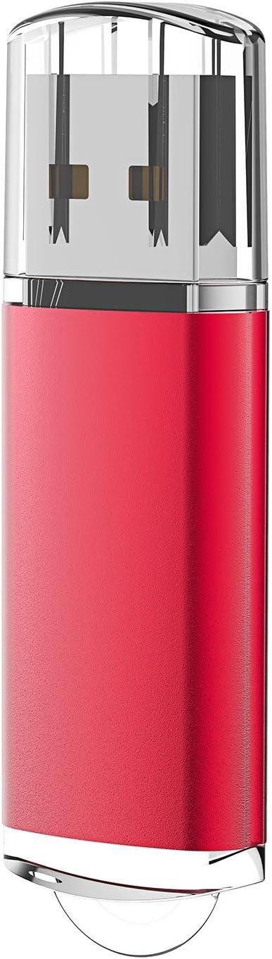 RAOYI 10PCS 2GB 2.0 USB Flash Drive USB Memory Stick Thumb Drive Pen Drive Jump Drive-Red