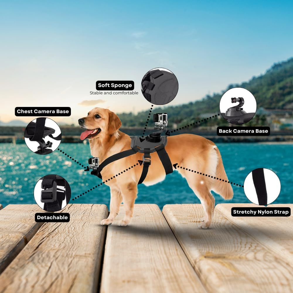 Ultimaxx Pet Action Camera Mount Harness - Compatible with Most Cameras