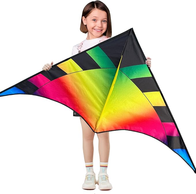 Delta Beginner Kite for Kids & Adults, Easy to Fly Beach Kite
