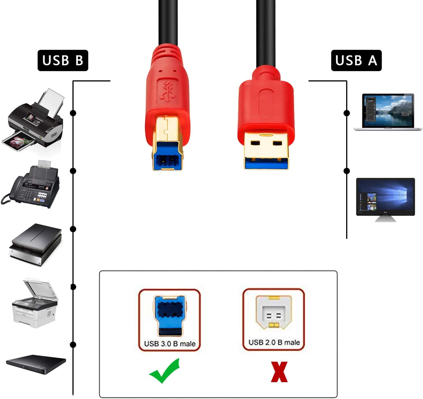3.0 25Ft, (25Ft/8m) Tan QY USB Cable A Male to B Male Type A to B Male Compatible with Hard Disk