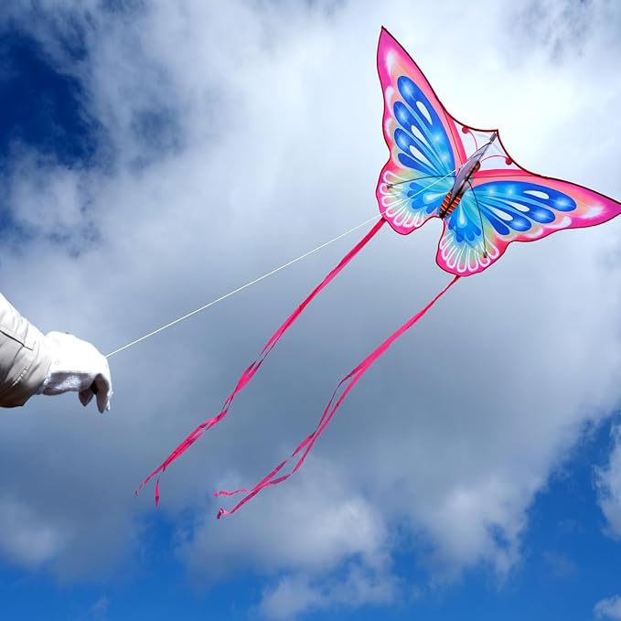 Mint's Colorful Life Kite Set for Kids and Adults, Easy to Fly Butterfly Delta Airplane Dragon Octopus Kite, Large Beach Kites Kits with 300ft String, Best for Gifts & Family Outings