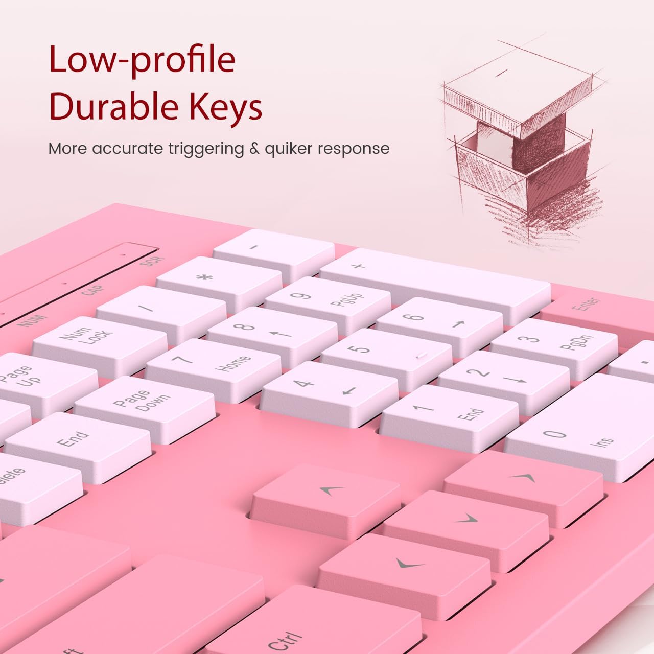 COLIKES Wired Keyboard, Ultra-Thin USB Wired Computer Keyboard, Low-Profile Keys, Spill-Resistant, Multimedia Keys