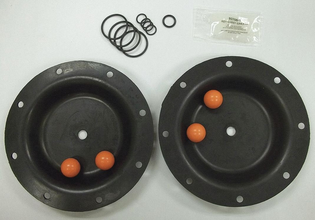 Diaphragm Pump Repair Kit