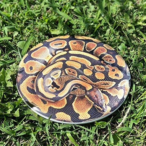 Discraft ESP Buzzz Supercolor Midrange Disc Golf Disc - Custom Design Discraft Discs - Straight Flying and Great for All Skill Levels - Free Mini Marker Included