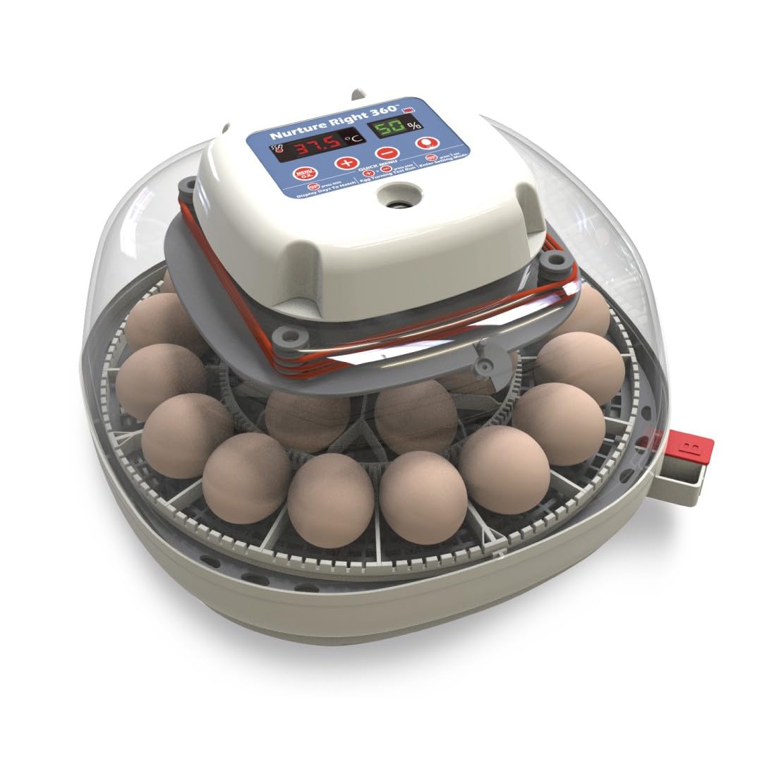 Harris Farms Nurture Right Egg Incubator for Hatching Chicks, Holds 12-22 Eggs, Automatic Turner with Temperature and Humidity Control, 360 Degree View with Clear Window, Incubator for Hatching Eggs