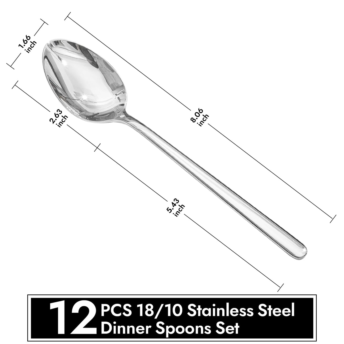 KINGSTONE Dinner Spoons Set of 12, 8 Inch 18/10 Stainless Steel Spoon Cutlery Table Spoons for Home, Kitchen & Restaurant, Dishwasher Safe